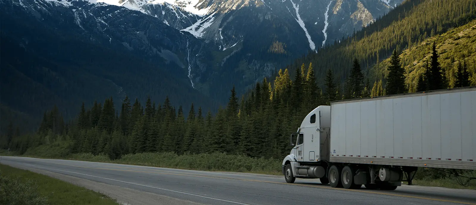 fleet vehicle tracking